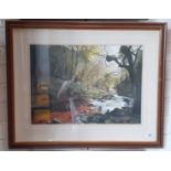 20th century school, watercolour, stream in a woodland landscape, signed 'Don Curphey', 49.5cm x