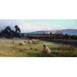 Creswick Boydell (Active 1889-1916), sheep,, oil on panel, 41cm x 15cm, signed lower left, glazed