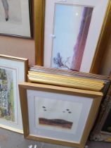 Various pictures and prints including signed limited editions, Judy Boyes etc and an original
