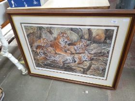 A signed limited edition print after Alan M Hunt, 372/1250, tiger and cubs, framed and glazed.