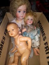 3 antique dolls to include Armand Marseille, etc.
