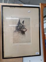 H Goffey, 'Garry', engraving, portrait of a collie dog, plate mark 19.5cm x 27.5cm, signed in pencil