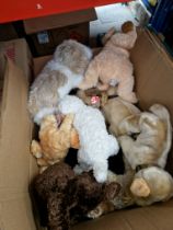 A box of TY soft toys, teddy bears, dogs, penguin etc.