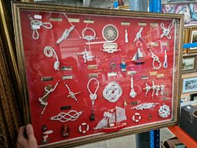 A cased display various nautical knots.