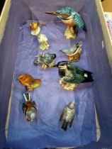 9 Beswick birds including Kingfisher (2371), Lapwing (2416B), Whitethroat (mouth open 2106A), etc.