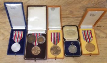 Assorted ice skating medals including silver.