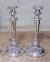 A pair of George III Regency period silver candlesticks with gadrooned, shell and acanthus detail,