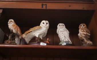 4 large owls on plinths, three by Country Artists and the other by Brooks & Bentley - largest approx