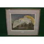 John Tennent, 1975 (born 1926) Limited Edition coloured print numbered 51/85 and titled "Barn Owl at