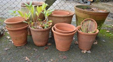 Quantity of terracotta plant pots of various sizes Please note descriptions are not condition
