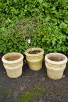 Set of three circular Willowstone planters having flower head design (one planter potted with shrub)