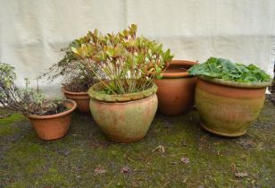 Group of five terracotta plant pots - largest 16.5" dia Please note descriptions are not condition