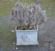 Small rectangular lead planter with Tudor Rose decoration - 12" x 10" x 10" tall Please note