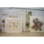 Seven Unframed Botanical and Horticultural Prints, largest 79cm x 47cm