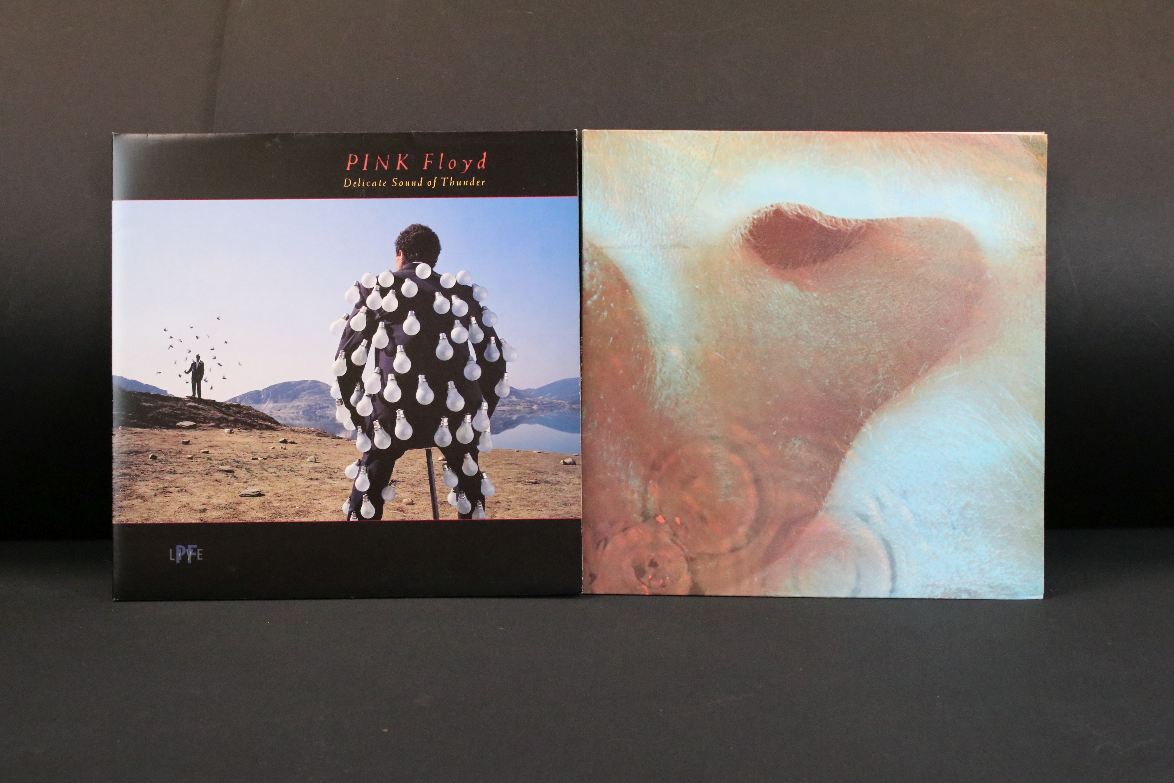Vinyl - 2 Pink Floyd LPs to include Meddle (SHVL 795) and Delicate Sound Of Thunder. Sleeves & Vinyl