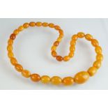 String of graduated butterscotch amber beads, the largest bead measuring approx 34mm x 26mm, the