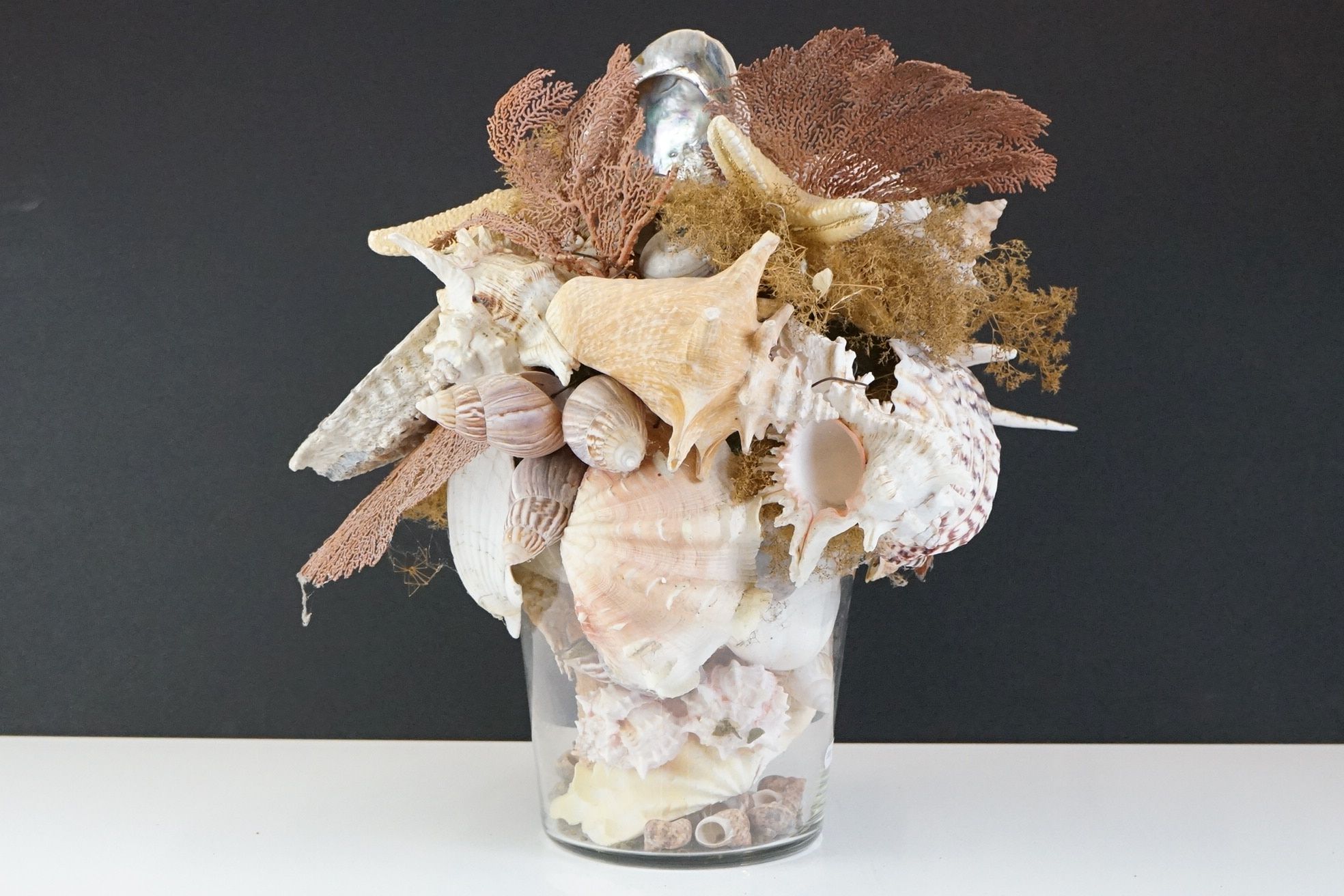 Table centrepiece presentation of sea shells to include conch shells, starfish, seaweed, paua