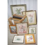 Collection of approximately Twenty Five Botanical / Floral Prints, all framed and glazed