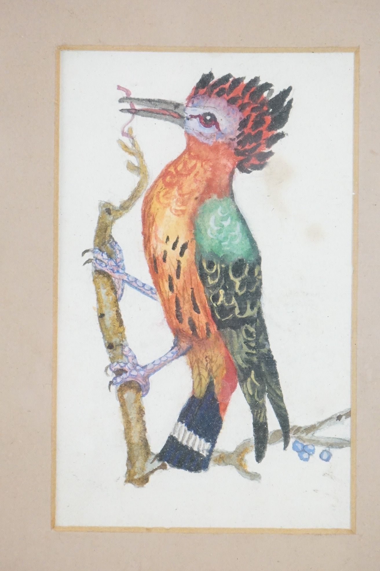 Collection of Ornithological Watercolour studies of Exotic Birds comprising a pair on rice paper and - Image 3 of 6