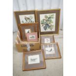 Collection of Nine Ornithological Prints, all framed and glazed