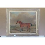 Mid 19th Century Oil on Canvas, Study of a Chestnut Horse, signed to lower left 'C H Saper'?,