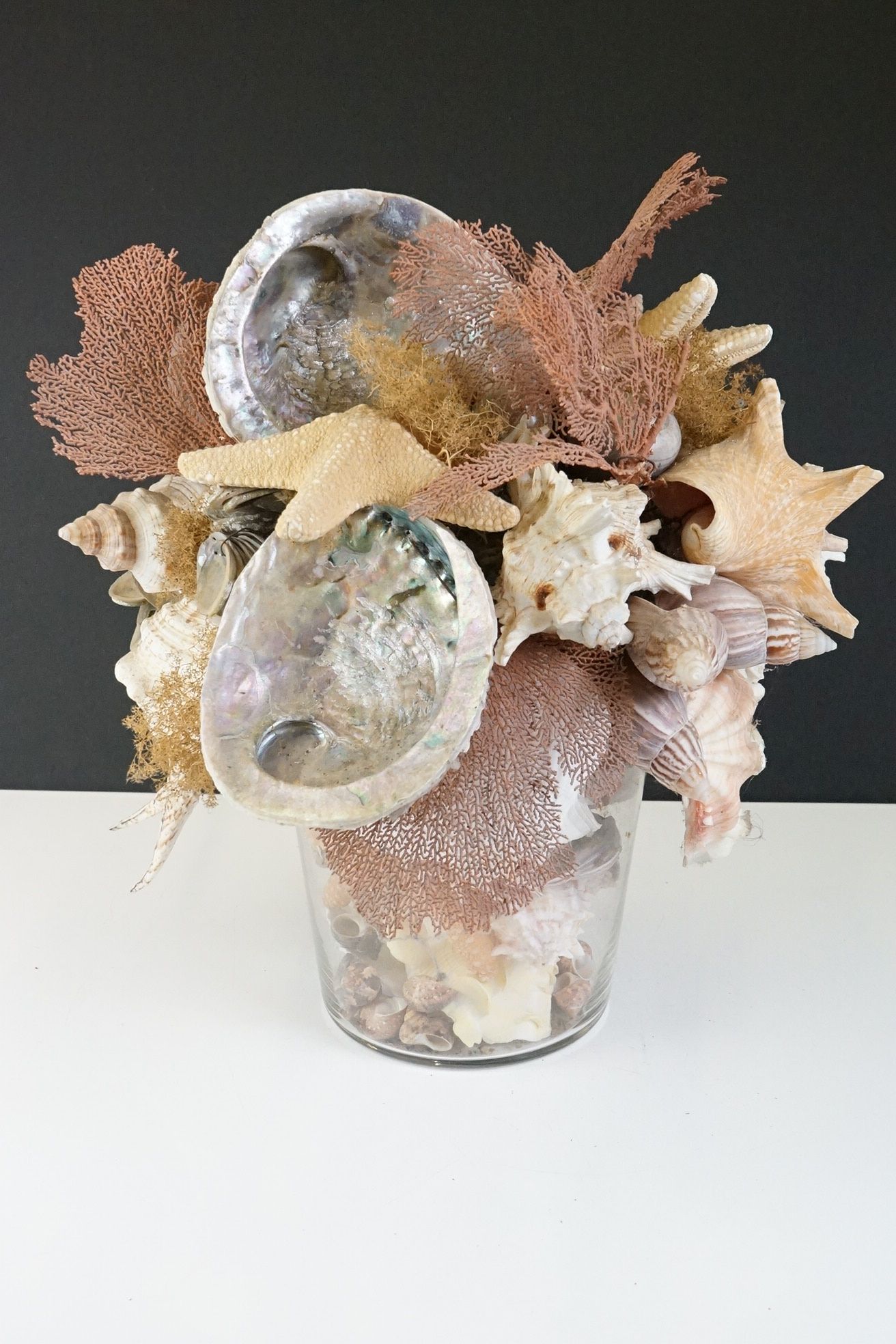 Table centrepiece presentation of sea shells to include conch shells, starfish, seaweed, paua - Image 2 of 10