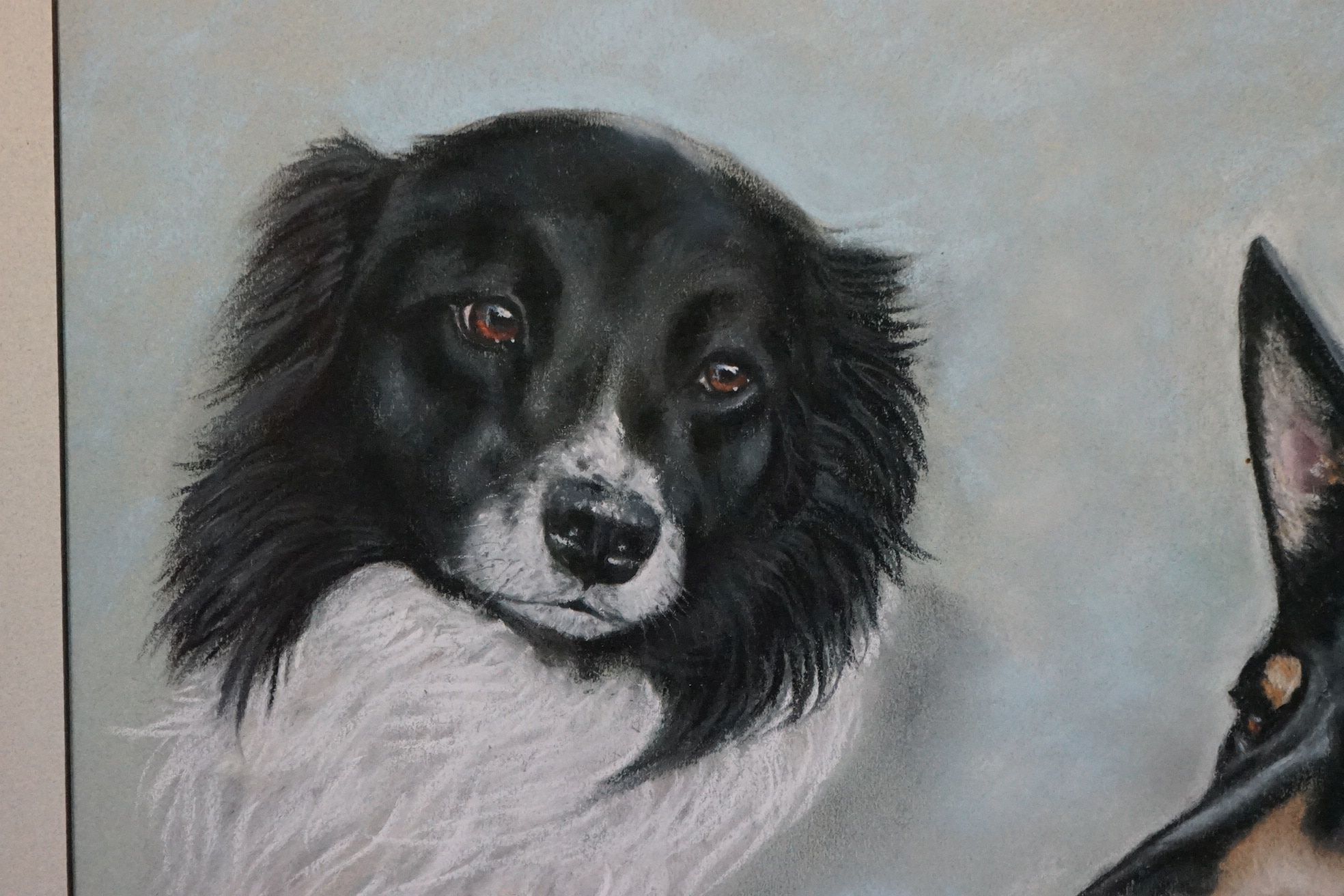 Pat LLoyd Pastel Study of Border Collies - Image 2 of 7