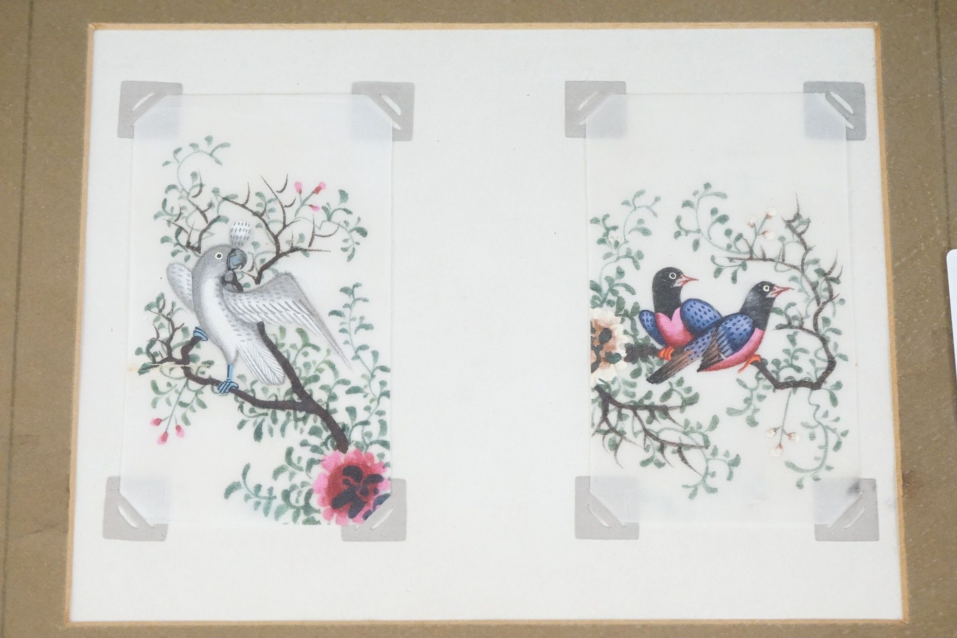 Collection of Ornithological Watercolour studies of Exotic Birds comprising a pair on rice paper and - Image 6 of 6