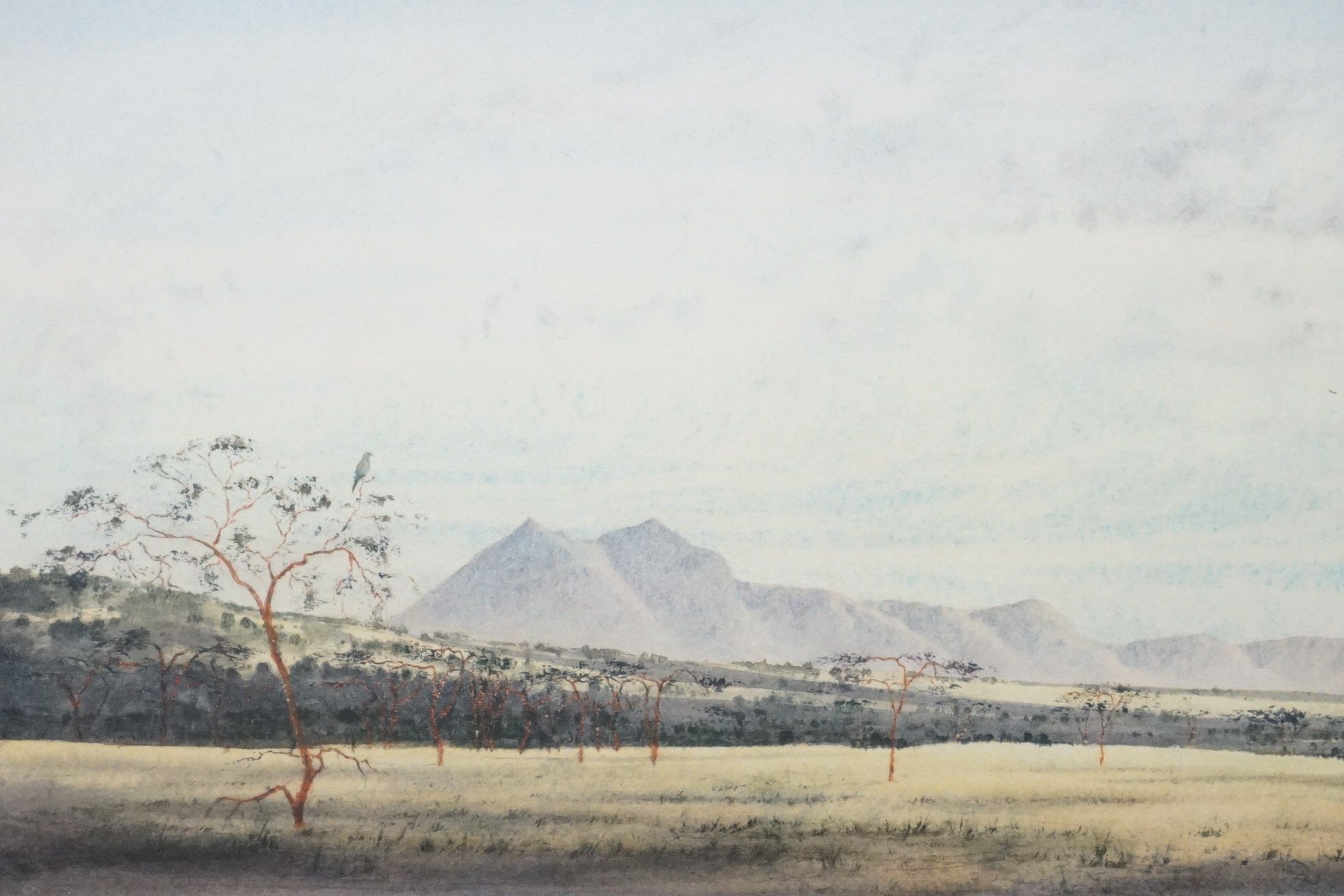 Jeremy Hammick (20th century) Watercolour of an African Landscape with mountains in the - Image 3 of 7