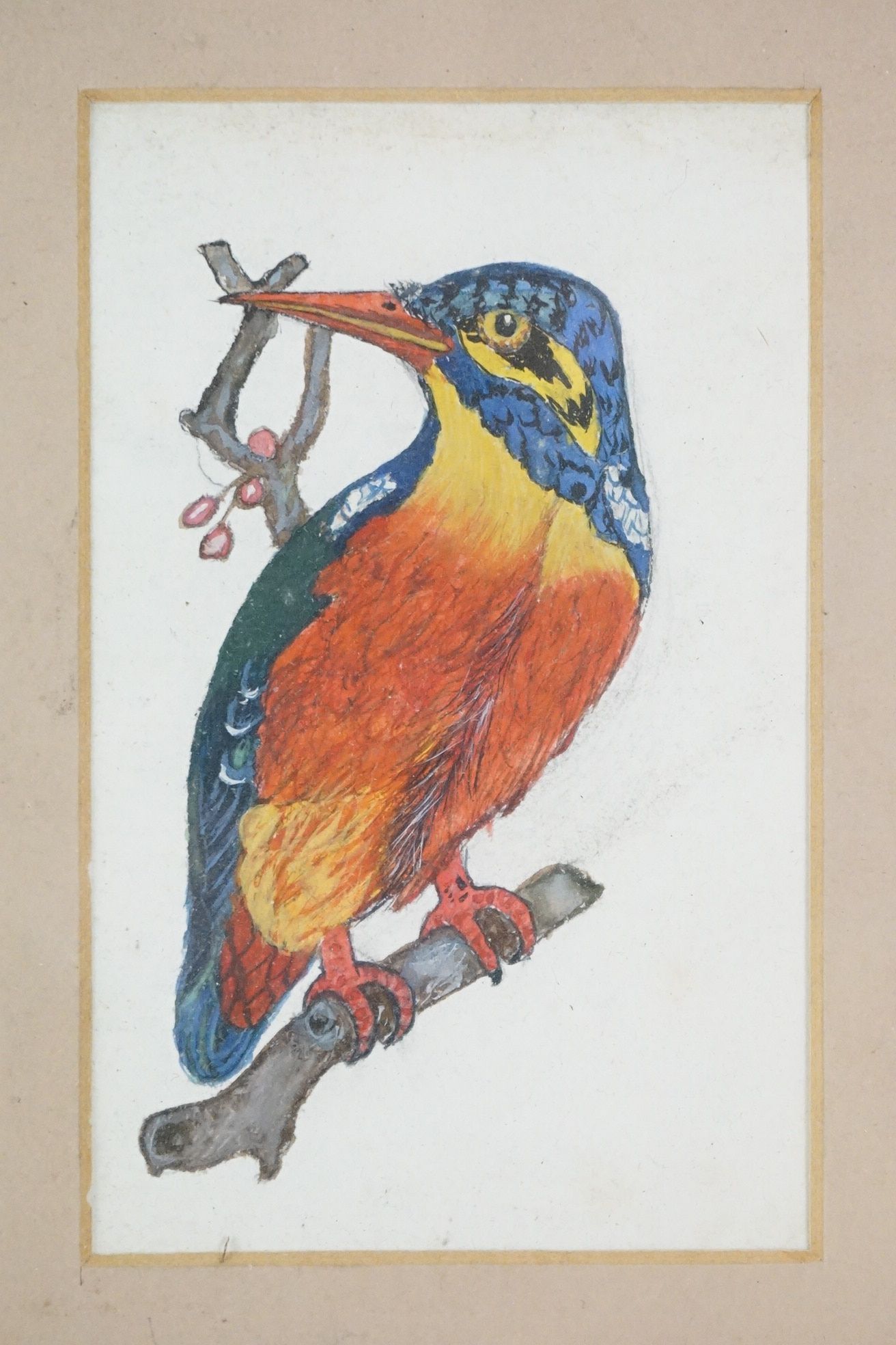 Collection of Ornithological Watercolour studies of Exotic Birds comprising a pair on rice paper and - Image 2 of 6