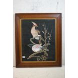 Oil on Paper of Two Jay Birds on a Branch signed D K Thomas, 59cm x 48cm, framed and glazed