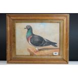 Gilt framed oil painting, study of a racing pigeon perched on a ledge
