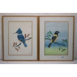 20th century, a pair of fine ornithological watercolour studies of exotic birds perched on branches,