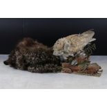 A vintage fox fur hat together with a taxidermy owl.