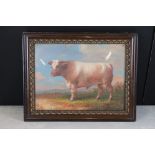 Oil Painting Bovine Study of a Rare Breed Bull in a pastoral landscape