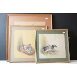 Three Watercolours of Birds, one of a Lesser Whitethroat signed Heaton and a Pair of Waterbirds by P