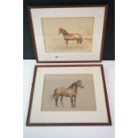 Two Early 20th century Watercolours of Horses, one titled ' Diamond ' and indistinctly signed,