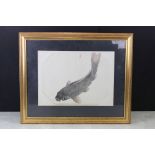 Framed Chinese Watercolour Study of a Carp Fish, probably 18th / 19th century, 27cm x 34cm