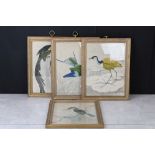 T. Campbell, Set of Four prints of Exotic Birds, possibly American, each 30cm x