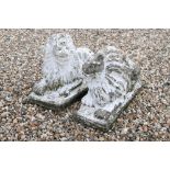 Pair of Composite Stone Garden Lions, 55cm long