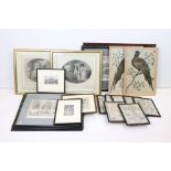 Collection of approximately Eighteen Engravings and Prints, all framed and glazed