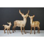 Three Beswick Deer figures to include 981 Stag (19cm high), 999 Doe and 1000 Fawn