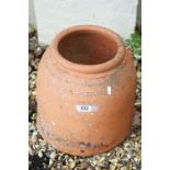 Terracotta Rhubarb Forcer, 37cm high