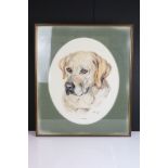Halcyon Weir, Watercolour Portrait of a Yellow Labrador ' Sabre ' dated 1973, 46cm x 37cm, framed