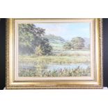20th Century Oil on Canvas of a Rural River Scene, signed to lower left, gilt framed. Measures