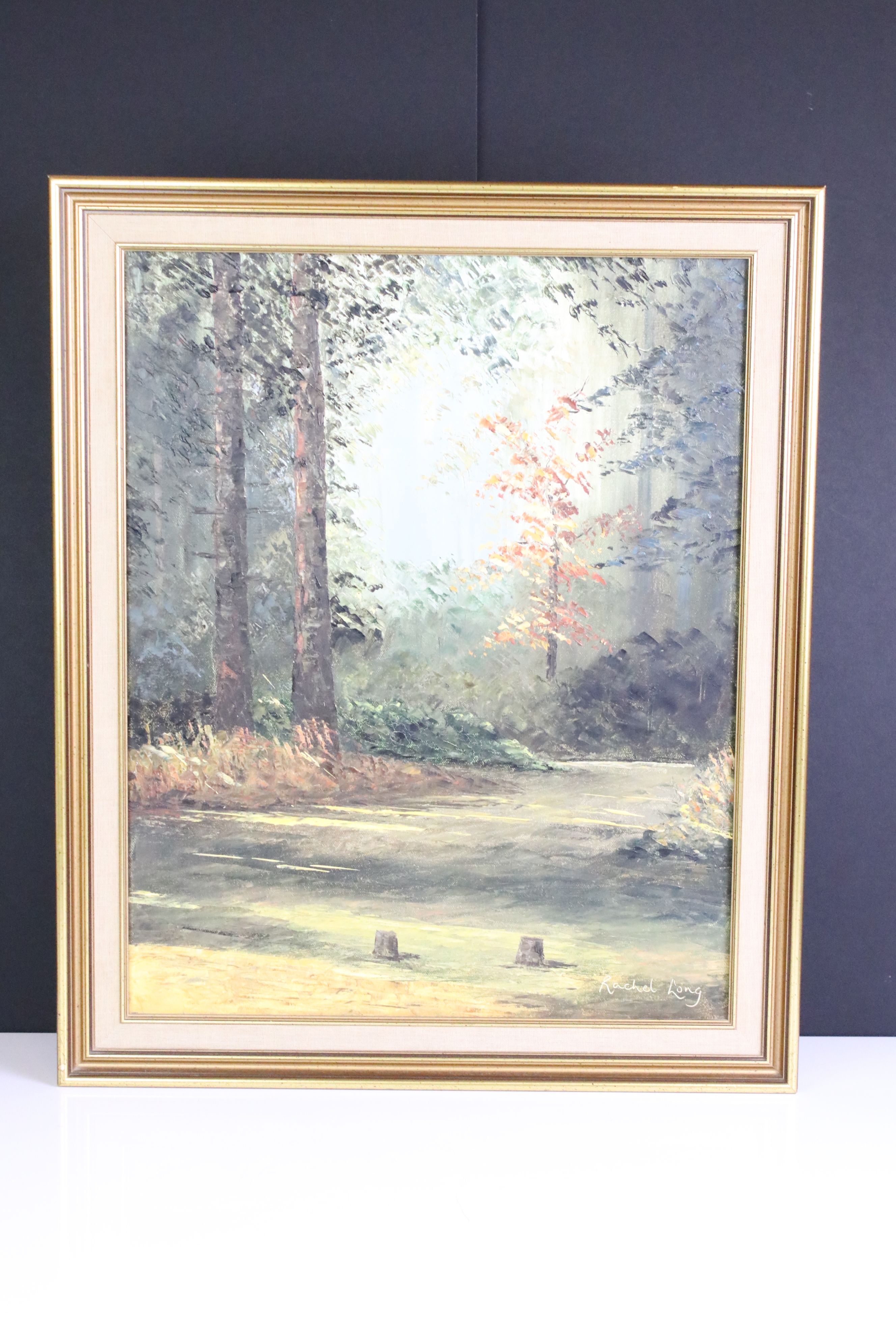 Rachel Long (20th century) Oil on Canvas of a Path through Woodland, signed, 50cm x 40cm