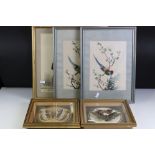 Two Framed, Glazed and Mounted Taxidermy Butterflies together with Two matching Chinese Embroideries