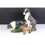 Cast iron saddleback pig & collie doorstops, together with a vintage dog nutcracker