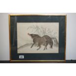 Framed and glazed Chinese watercolour of wild boar in their habitat