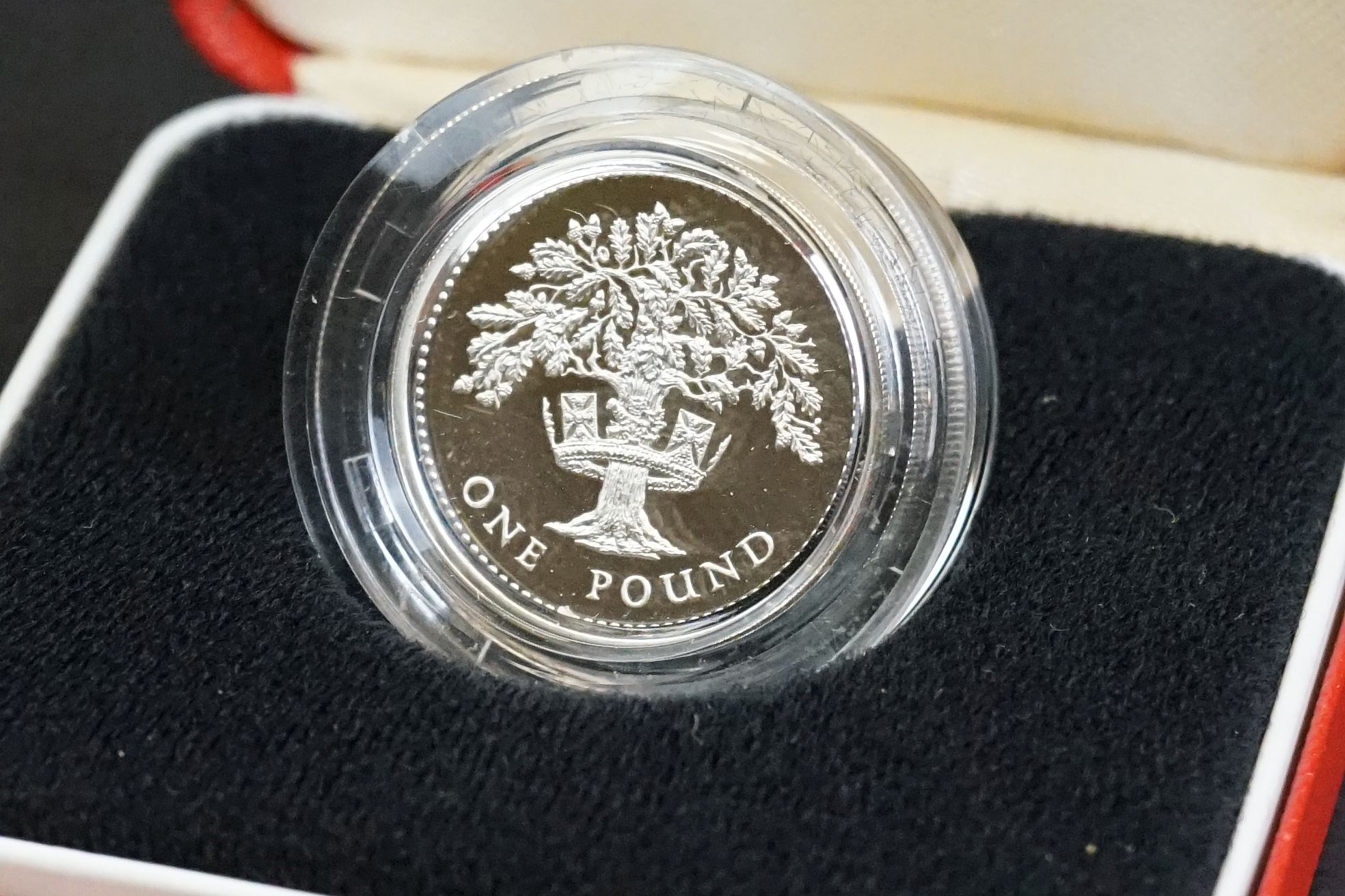 A collection of four Royal Mint United Kingdom silver proof £1 / one pound coins to include 1986, - Image 7 of 10